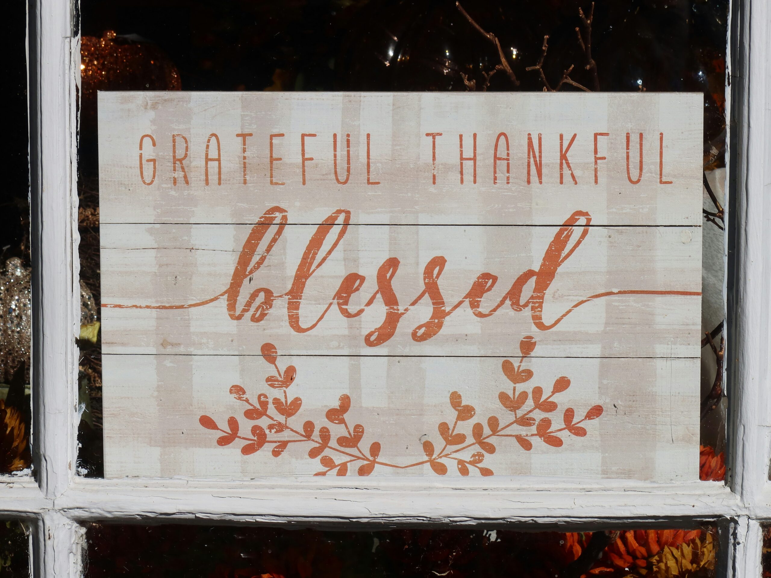 Thanksgiving; when you don't feel thankful; David's prayer of thankfulness in 2 Samuel 7